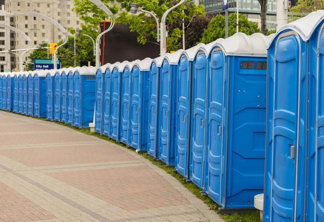 Seasonal porta potty units set up at a Elmira, New York venue